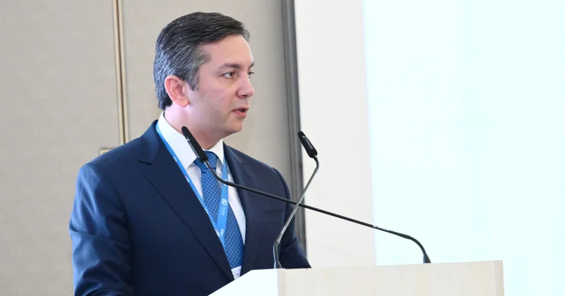 Yalçın Rəfiyev: İqlim prosesi öhdəliklərin razılaşdırılmasından onların icrasına keçməlidir