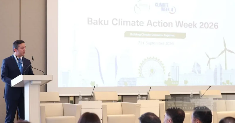 Ялчын Рафиев: На COP31 нужно обеспечить реализацию договоренностей, принятых на COP29