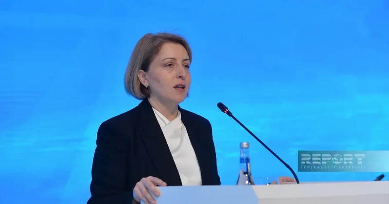 Эка Ткешелашвили: Восстановление Карабаха успешный пример реконструкции