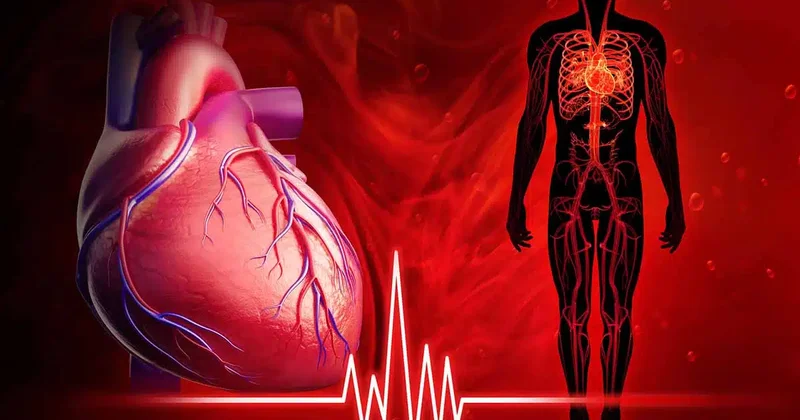 Həkimlərin işini dəyişə biləcək kəşf: Ürək xəstəlikləri saniyələrdə aşkarlanır