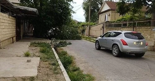 Mingəçevirdə güclü külək ağacları sındırdı, elektrik isə...