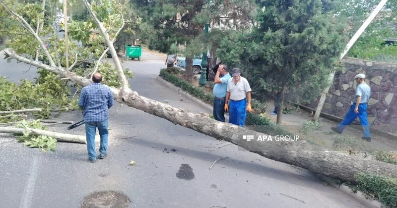 Güclü külək Bərdə, Tərtər və Ağdamda fəsadlar yaradıb FOTO