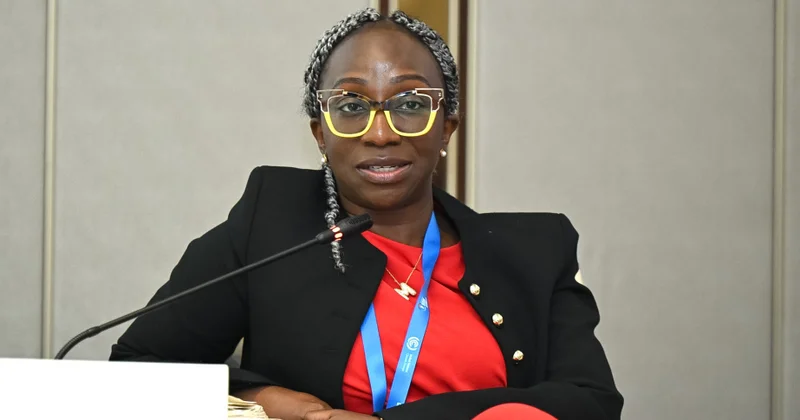 Lola Odunsi: Gələcəkdə emissiya məlumatlarından əməliyyat proseslərinə töhfə verən vasitə kimi istifadə olunacaq