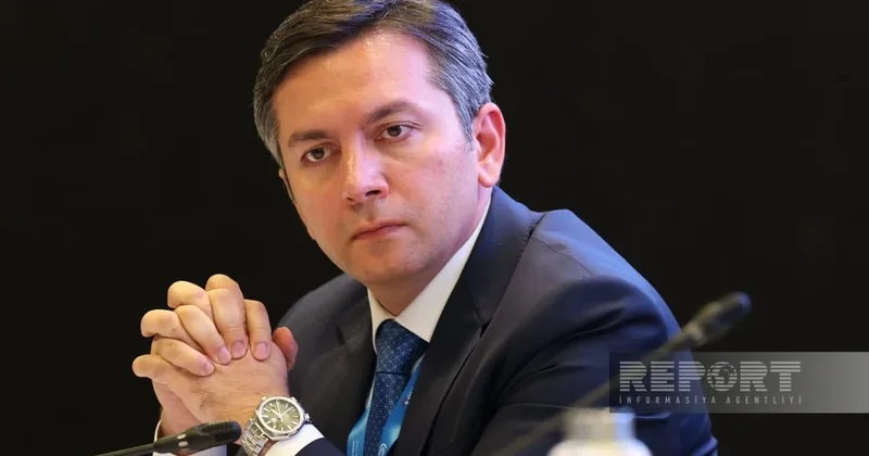 Ялчын Рафиев призвал страны объединиться в борьбе с изменением климата