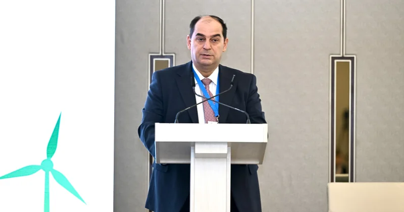 Agentlik direktoru: Regional əməkdaşlıq Azərbaycanın yaşıl enerji siyasətində mühüm yer tutur