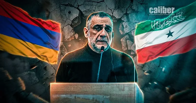 Нытики и аналитики Любят они это. Изливают скорбь звездам, или солнцу в зависимости от времени суток