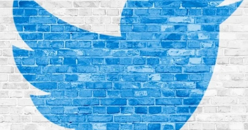 Twitter İlon Maskda qaldı, Twitter quşu azadlığa qovuşdu