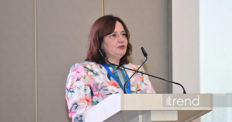 Гендиректор COP31 отметила роль Баку в климатической дипломатии