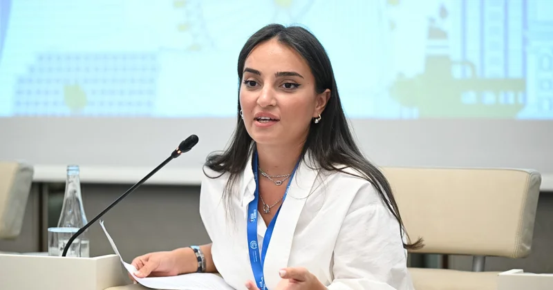 Menecer: İnkişaf etməkdə olan iqtisadiyyatlarda bərpaolunan enerji layihələrinə qoyulan investisiyalar artmalıdır