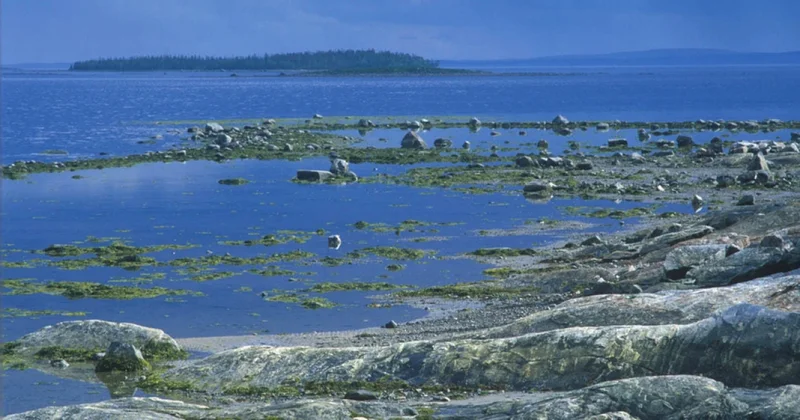 В Турции допустили гибель Мраморного моря