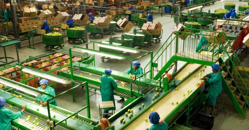 Emala təhvil verilən məhsullar üzrə subsidiyaların əhatəsi genişləndirilir
