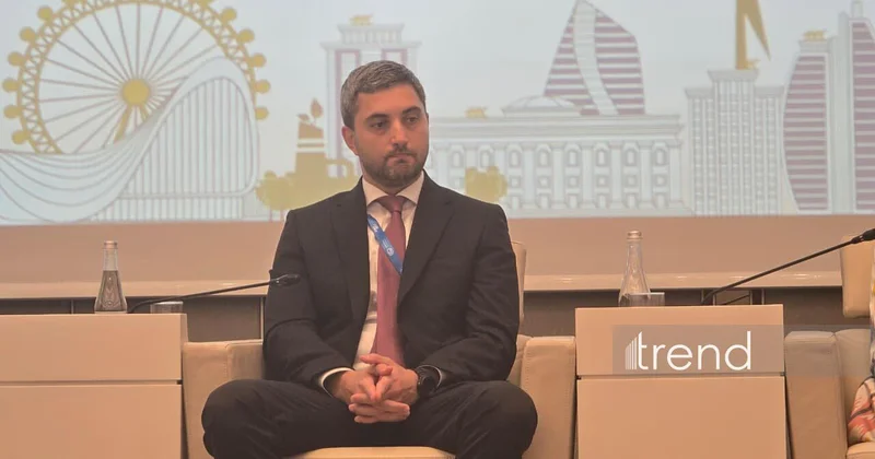 SOCAR Green заявила о необходимости новых технологий для развития ВИЭ