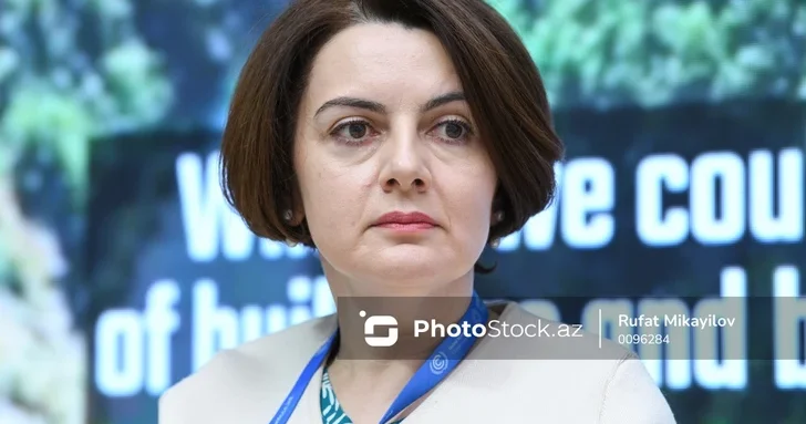 Рена Гумбатова рассказала о развитии национального реестра зеленой энергии в Азербайджане