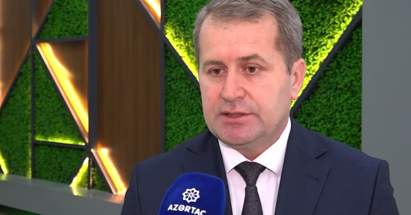 Heyvandarlıq sahəsi üzrə fermerə dövlət dəstəyi