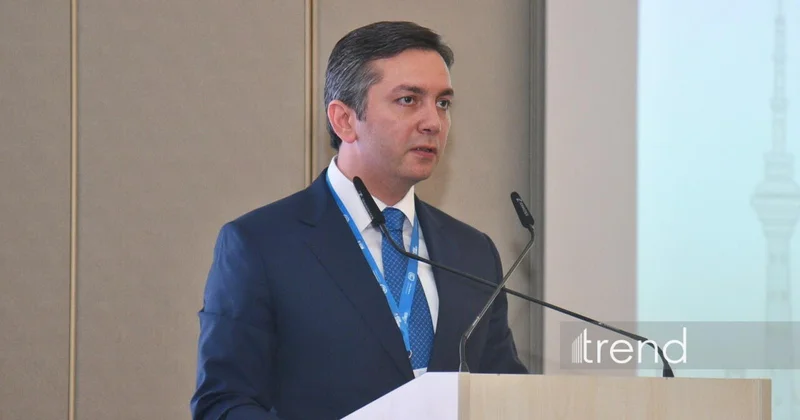 Ялчын Рафиев о финансировании климатических целей COP31