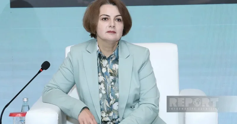 Рена Гумбатова: Азербайджан может начать экспорт зеленого водорода после 2036 года