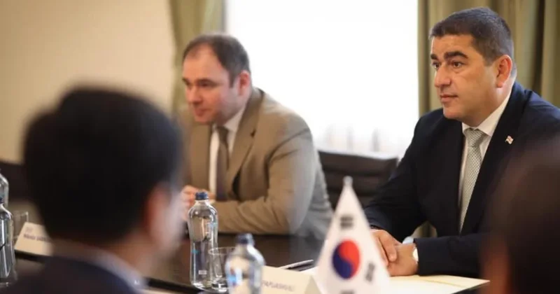 Gürcüstan və Koreya Orta Dəhlizin rolunu müzakirə edib