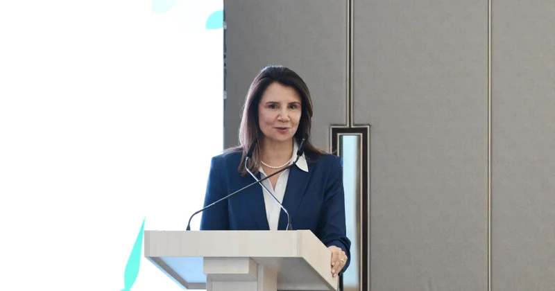 COP30 un icraçı direktoru : İqlim dəyişikliyi ilə mübarizə üçün çoxtərəfliliyi gücləndirməliyik