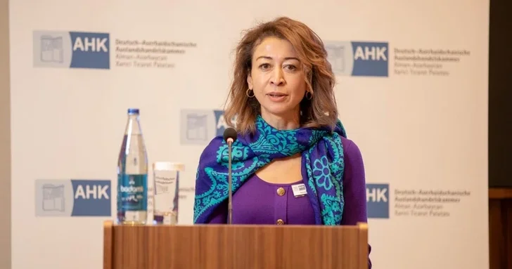 Наргис Вик: Немецкие банки готовы финансировать больше проектов в Азербайджане