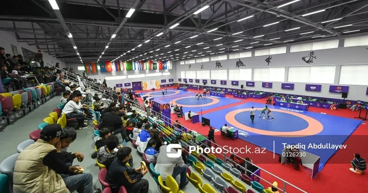 Азербайджанский борец греко римского стиля завоевал серебро на III Играх СНГ