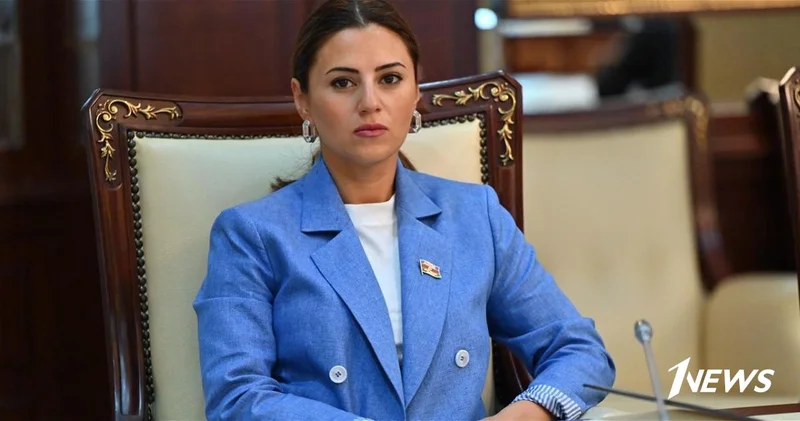 Севиндж Фаталиева: Габалинский саммит ОТГ: тюркский мир на пути от солидарности к стратегическому единству