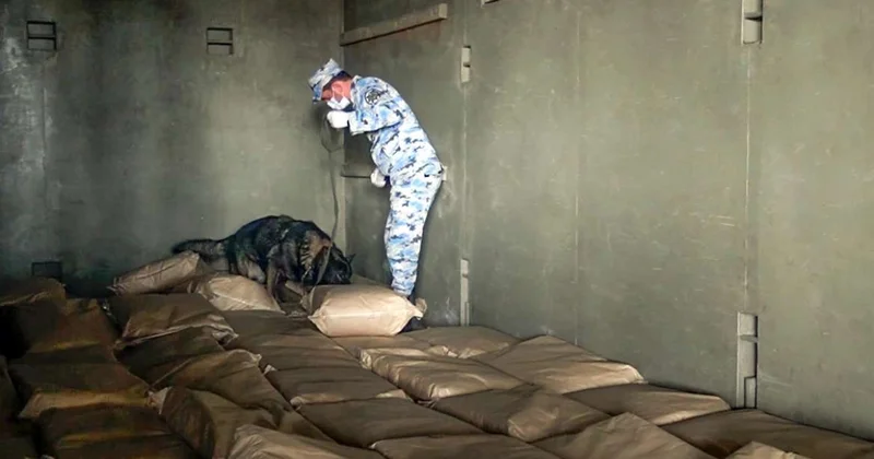 Транзитный груз с наркотиками перехвачен в Астаре фото