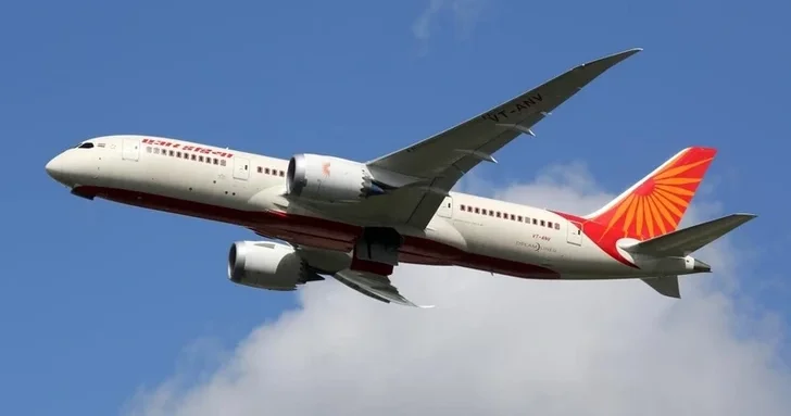 Air India отменяет рейс в Коломбо после инцидента с птицей