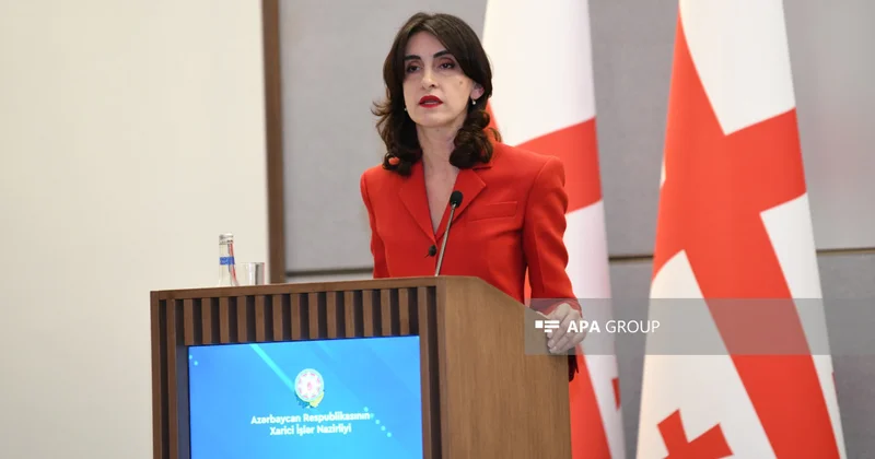 Boçorişvili: Aİ nin Gürcüstanla vizasız rejimi dayandırması üçün əsas yoxdur