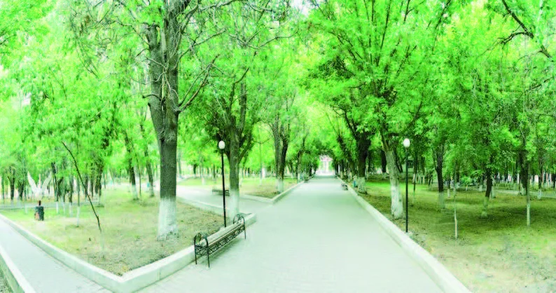 Naxçıvanın “Böyük bağ”ı