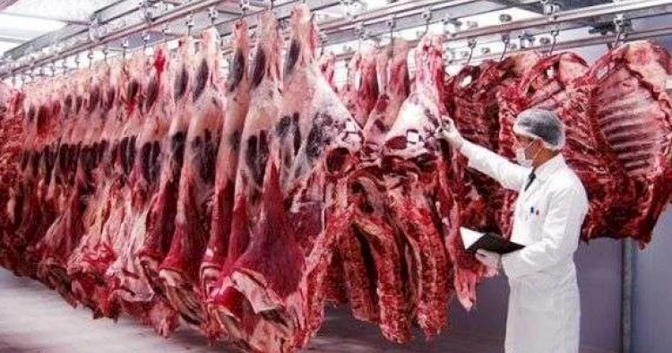 Dünyada ətin qiyməti qalxır...