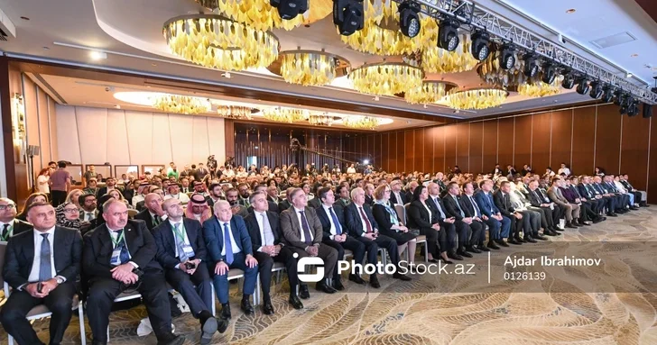Мухаммад Халид Хасани: Приоритетом должно стать создание лицензий на исламское финансирование