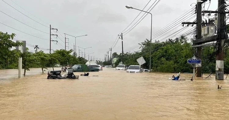 Taylandda şiddətli yağışlar 22 nəfərin ölümünə səbəb olub