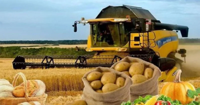 Aqrar sahəyə milyardlarla vəsait ayrılır, bəs büdcəyə nə qədər qazandırır?