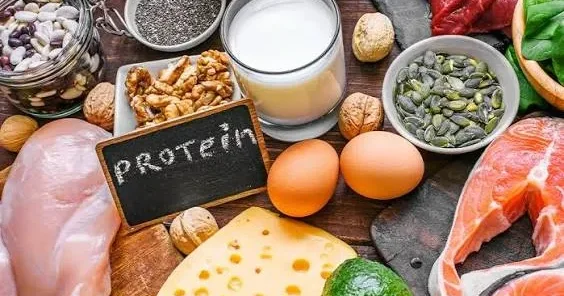 Çox protein qəbul etmək kalori defisiti olmadan arıqlamağa kömək etmir Həkim