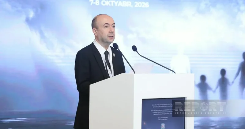 Фариз Рзаев: Минная проблема на освобожденных территориях затрудняет поиски пропавших без вести