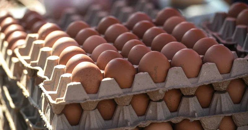 В Милли Меджлисе назвали продукт, который не подорожал за 10 лет Minval Politika
