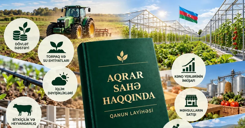 “Təqdim olunan qanun layihəsi aqrar sahədə idarəetməni sistemləşdirəcək” DEPUTAT DANIŞDI