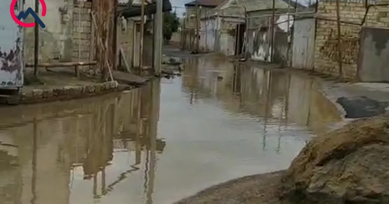“13 ildir, bilmirik dərdimizi kimə deyək...” Video