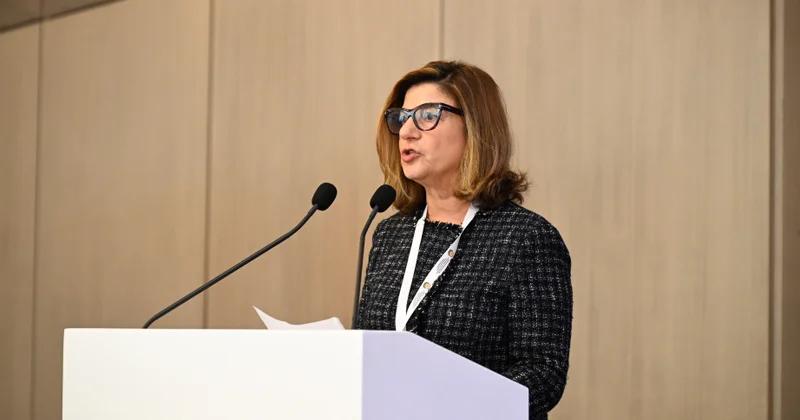 ICMP nin baş direktoru: Dünyada itkin düşmüş şəxslərin sayı artır