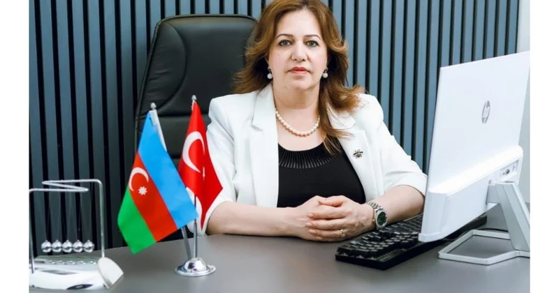 Azərbaycan dövlətçiliyinin yeni inkişaf mərhələsi və YAP ın siyasi strateji prioritetləri ŞƏRH