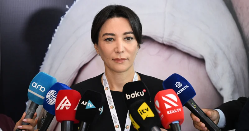 Ombudsman: Bakı Dialoqu formatında IV beynəlxalq konfransda səslənən rəqəmlər böyük ümid yaradır