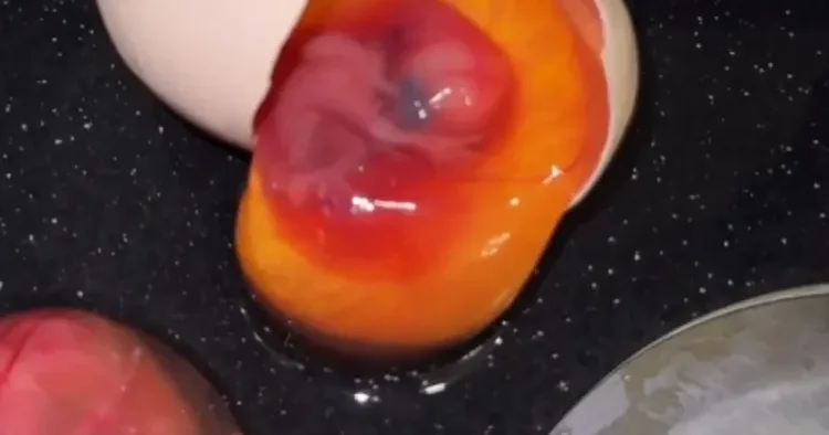 Yumurtanın içindən embrion çıxarsa, çeki atmayın! XƏBƏRDARLIQ