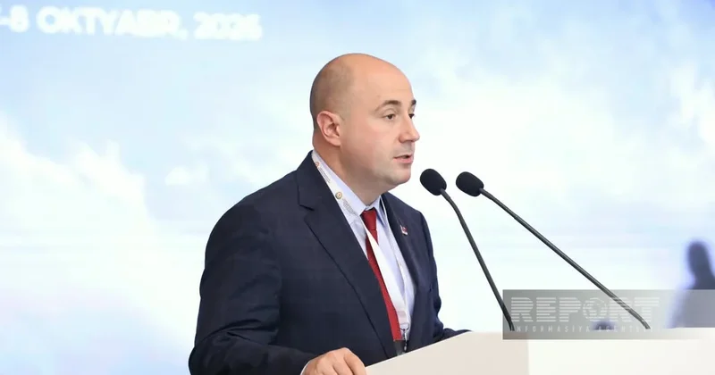 Козарев: Сербия готова поделиться с Азербайджаном опытом в поиске пропавших без вести