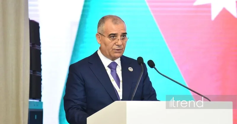 İtkin düşənlərin taleyinin müəyyənləşdirilməsi davamlı sülhün mühüm şərtidir Əli Nağıyev