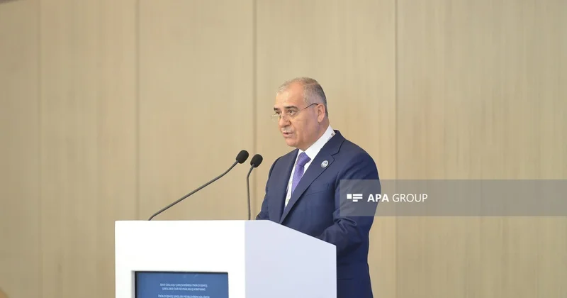 Əli Nağıyev: Əsir və itkin probleminin miqyası beynəlxalq səylərin daha da gücləndirilməsini tələb edir