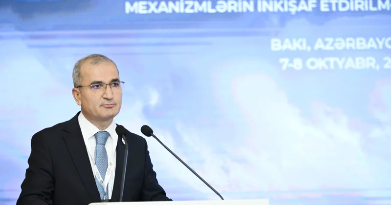 İƏT in nümayəndəsi: Ailələrin yaxınlarının taleyi barədə məlumat almaq hüququ fundamental humanitar prinsipdir