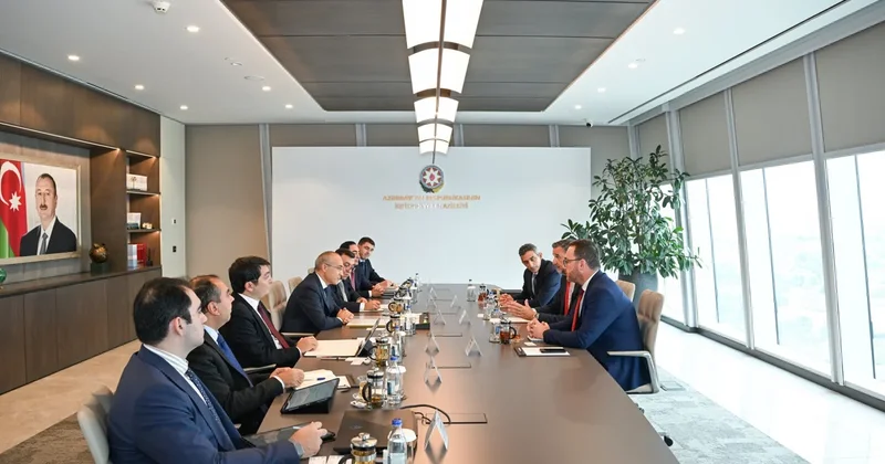Azərbaycan Niderland şirkəti ilə Orta Dəhliz üzrə layihələri müzakirə edib