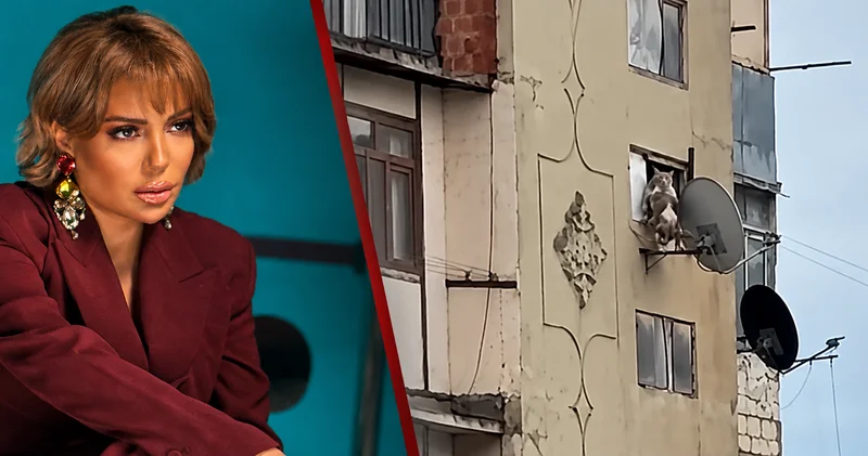 Səidədən itə zorakılıq edən şəxsin cəzasına etiraz!