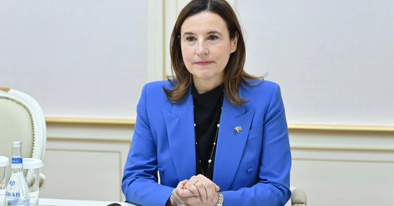 Aİ dən Azərbaycana təhsillə bağlı 29 layihə