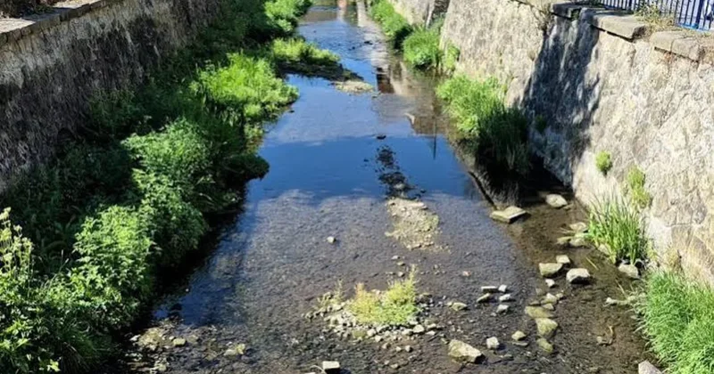 В Чехии объявили о нехватке воды в Влтаве и Эльбе